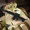 Нашивка M-Tac AR-15 3D PVC Coyote