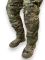 Штани тактичні БЕК-Т Combat Multicam