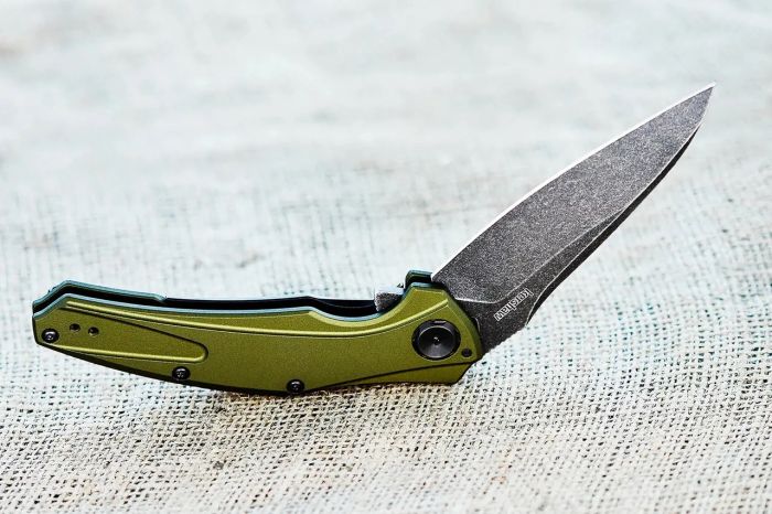 Ніж складаний KAI Kershaw Bareknuckle Black Blade 7777OLBW