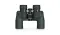 Бінокль Vortex Raptor 8.5x32 WP R385
