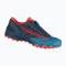 Кросівки для бігу чоловічі DYNAFIT Feline SL mallard blue/blueberry