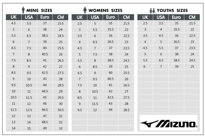 Чоловічі кросівки бігові Mizuno Wave Rider 25 J1GC210393