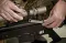 Мультитул Leatherman MUT EOD чохол Molle 833119