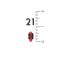 Мушка MEGAline 180/21 D. 2,6 Red