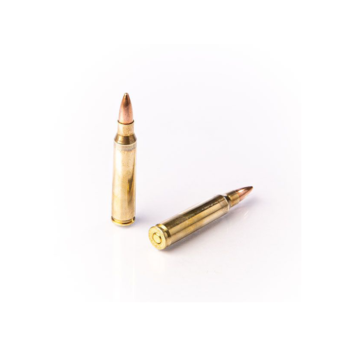 Набій нарізний Fiocchi кал. 223 Rem FMJ 55gr (705561)