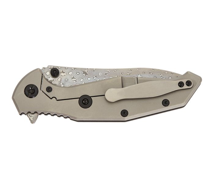 Ніж складаний Skif Adventure X LE Damascus CF