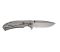Ніж складаний Skif Sturdy II SW Black