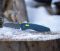 Ніж складаний SOG Aegis AT Tanto Indigo