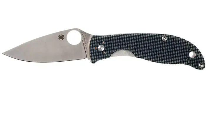 Ніж складаний Spyderco Alcyone G-10 Grey C222GPGY