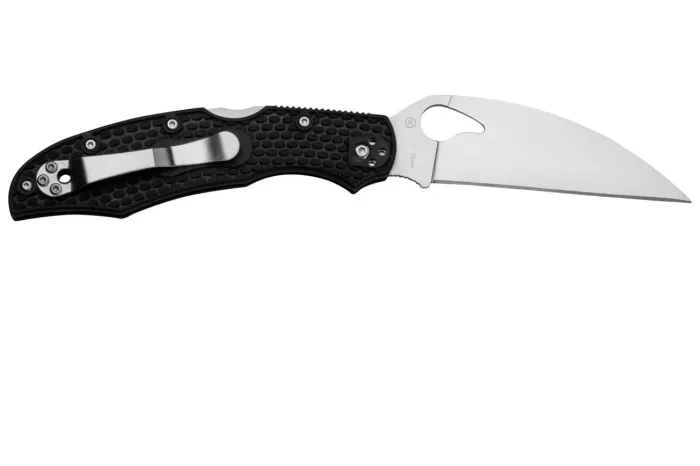 Ніж складаний Spyderco Byrd Cara Cara 2 Wharncliffe Black (BY03PBKWC2)