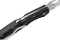 Ніж складаний Spyderco Byrd Cara Cara 2 Wharncliffe Black (BY03PBKWC2)
