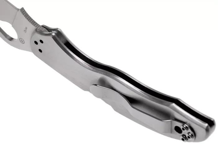 Ніж складаний Spyderco Byrd Harrier 2 Stainless (BY01P2)