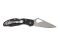 Ніж складаний Spyderco Byrd Meadowlark 2 Black (BY04PBK2)