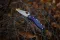 Ніж складаний Spyderco Byrd Meadowlark 2 Blue (BY04PBL2)