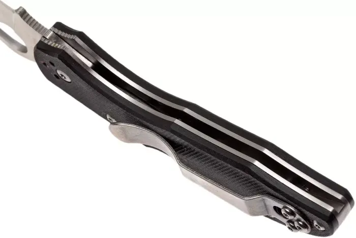 Ніж складаний Spyderco Byrd Meadowlark 2 G-10 (BY04GP2)