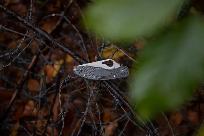 Ніж складаний Spyderco Byrd Meadowlark 2 Gray (BY04PGY2)