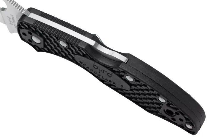 Ніж складаний Spyderco Byrd Meadowlark 2 Wharncliffe Black (BY04PBKWC2)