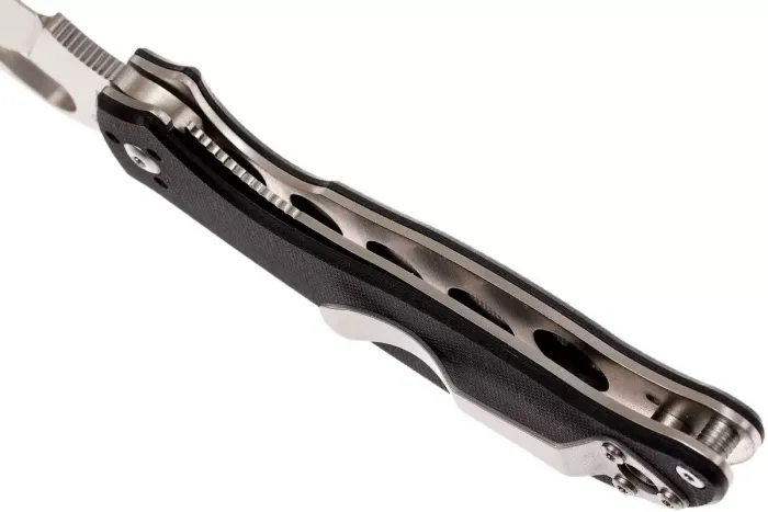 Ніж складаний Spyderco Byrd Raven 2 G-10 (BY08GP2)