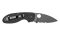 Ніж складаний Spyderco Efficient Black Blade C216GPSBBK