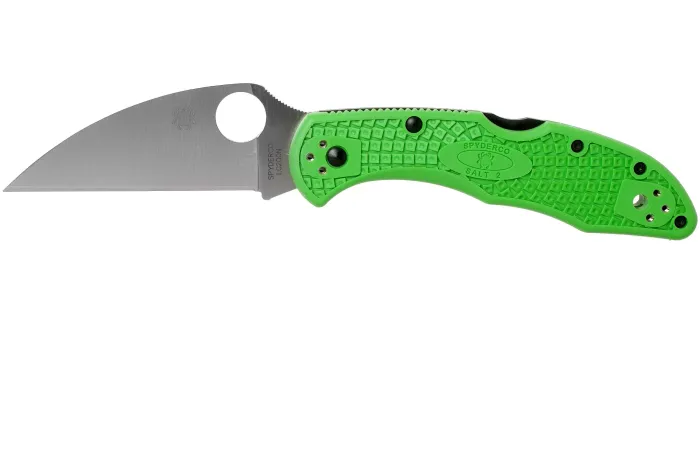 Ніж складаний Spyderco Salt 2 Wharncliffe LC200N Green C88FPWCGR2