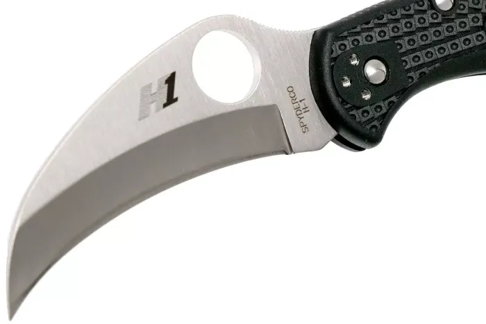 Ніж складаний Spyderco Tasman Salt 2 Black C106PBK2