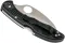 Ніж складаний Spyderco Tasman Salt 2 Serrated Black C106SBK2