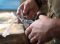 Ножиці Leatherman Raptor Rescue Tan Utility Holster 832174