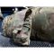 Підсумок Hoffmann Equipment універсальний 223/308/7.62/5.45 Multicam