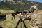 Приціл Nightforce ATACR 7-35x56 F1 ZeroS 0.1 сітка Mil-C з підсвічуванням C578