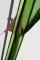Шатро Tramp Lite Mosquito Green TLT-033.04