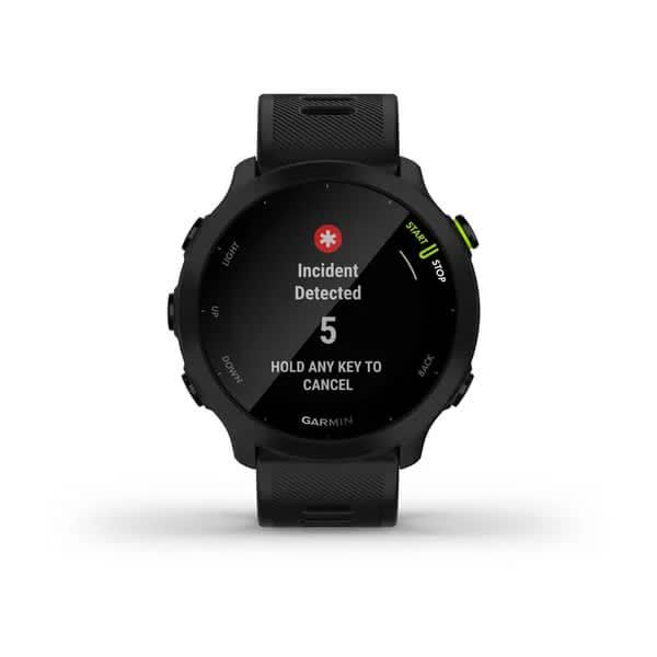 Смарт-годинник Garmin Forerunner 55 Black