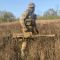 Транспортувальна система DANAPER Wallaby MultiCam
